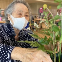 画像1632： デイケアの運動会！