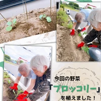 画像1654： デイケアの運動会！