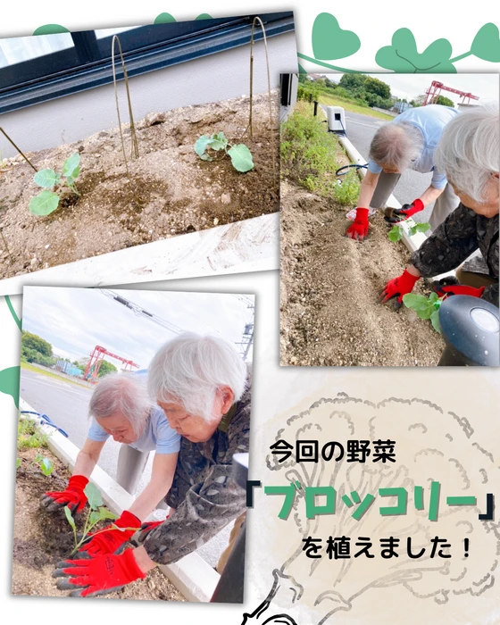 画像1654： デイケアの運動会！