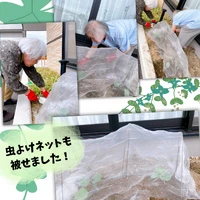 画像1655： デイケアの運動会！