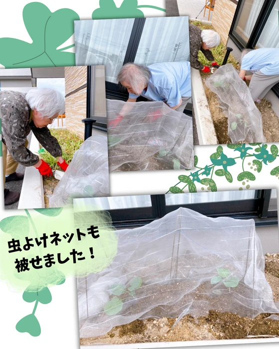 画像1655： デイケアの運動会！